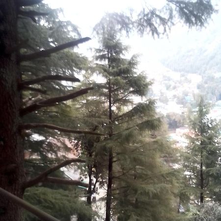 Himalayan Snowline Trekking Mountain View Albergue McLeod Ganj Exterior foto